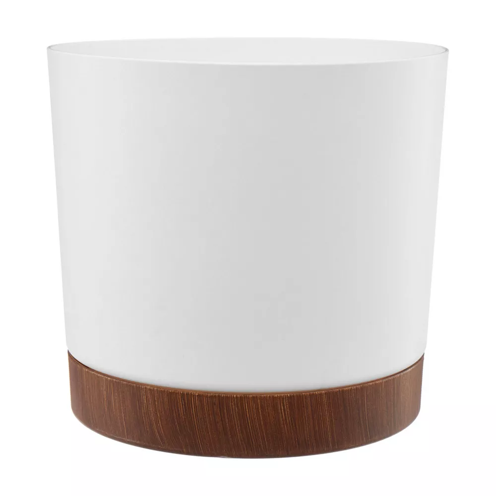 pop-42398003-1