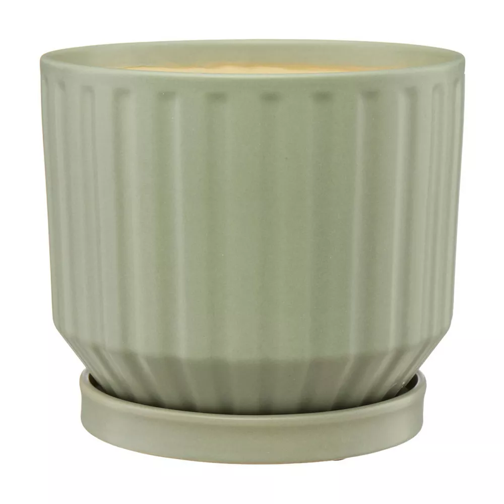 pop-43072301-1